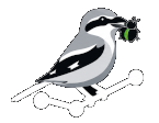 OpenShrike